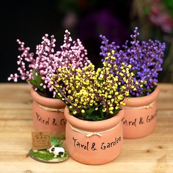 Chậu gốm hoa bi tròn