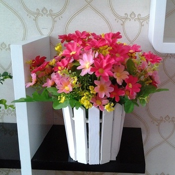 Chậu hàng rào hoa sao nhái.