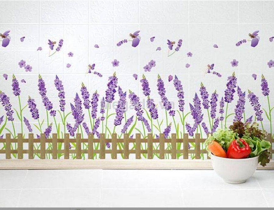 Hàng rào lavender 