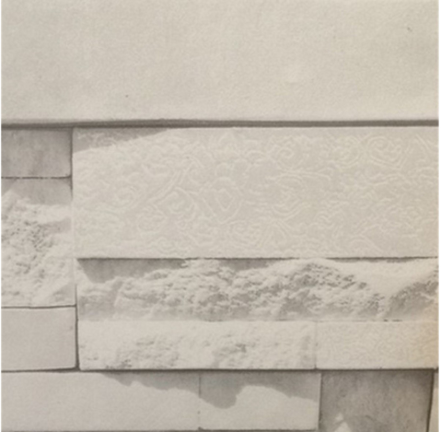 Ảnh sản phẩm - Lala Shop