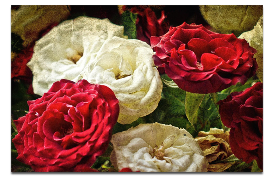 Ảnh sản phẩm - Lala Shop