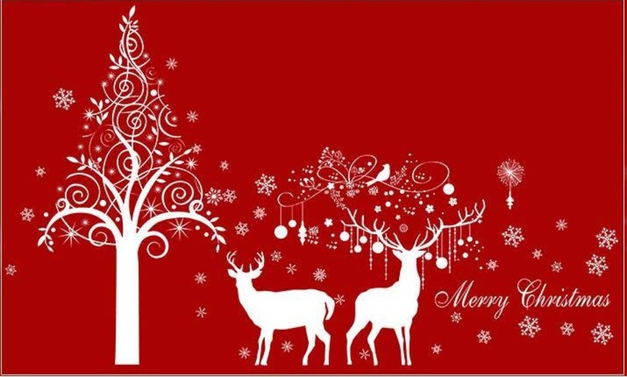 Ảnh sản phẩm - Lala Shop