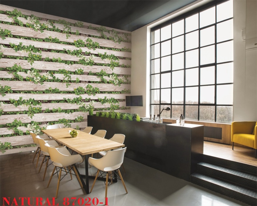 Ảnh sản phẩm - Lala Shop