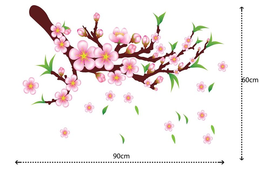 Ảnh sản phẩm - Lala Shop