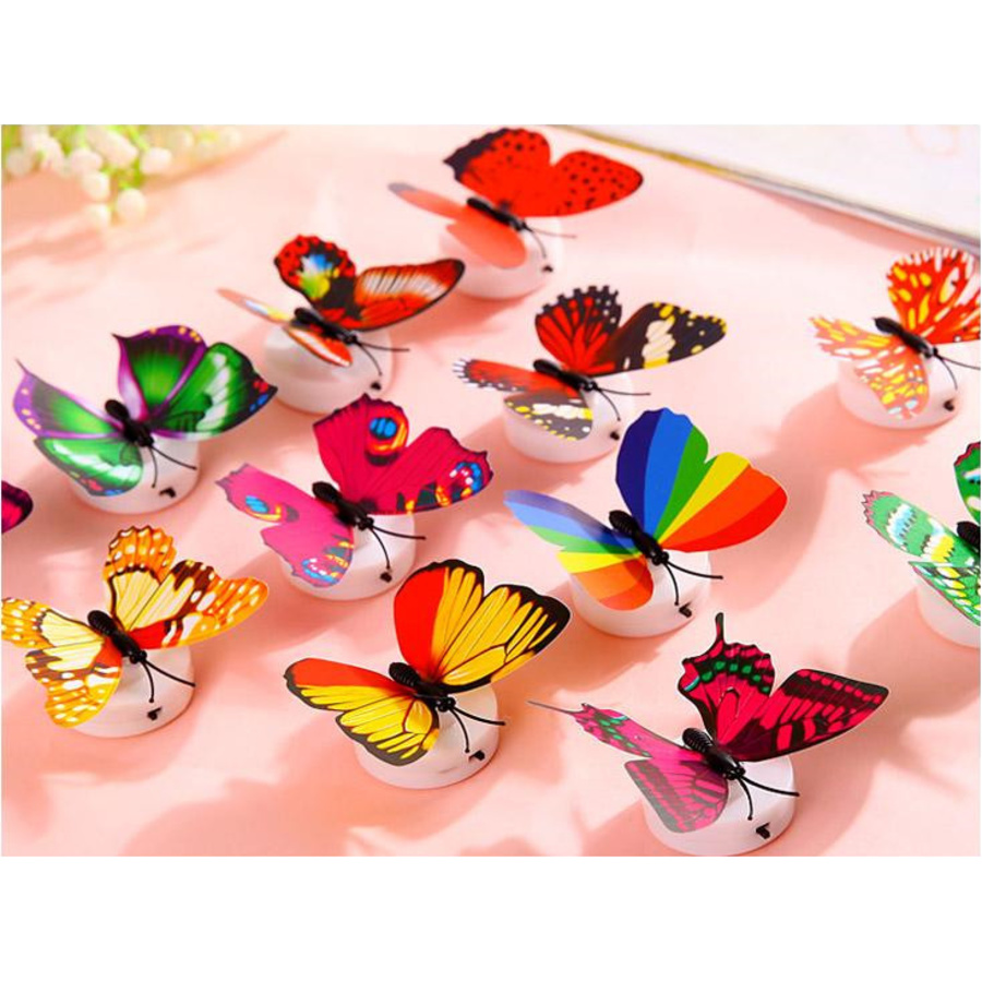 Ảnh sản phẩm - Lala Shop