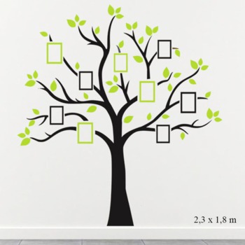 Decal cây photo size đại