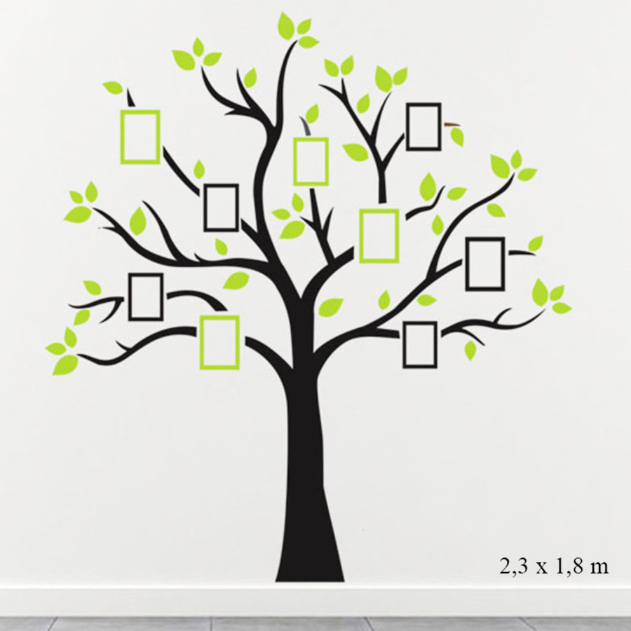 Decal cây photo size đại