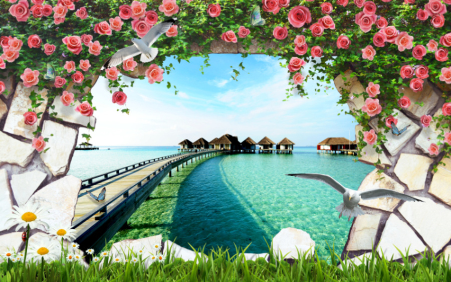 Ảnh sản phẩm - Lala Shop