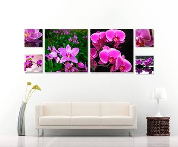 Tranh treo tường nhánh lan rừng