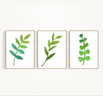Bộ tranh treo tường lá cây