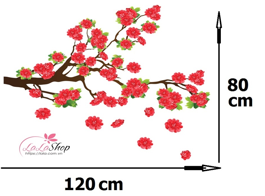 Ảnh sản phẩm - Lala Shop