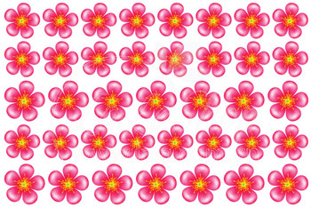 Decal hoa đào hồng 5 cánh (HN)