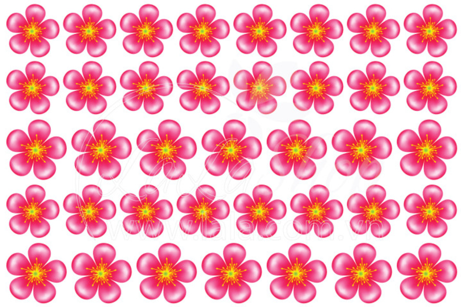 Decal hoa đào hồng 5 cánh (HN)