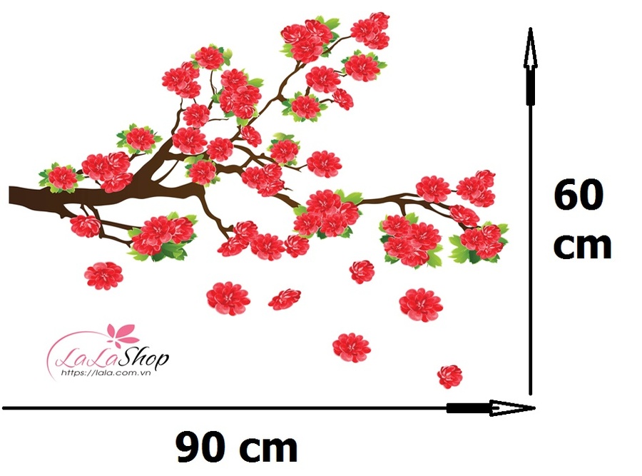 Ảnh sản phẩm - Lala Shop