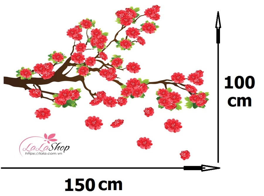 Ảnh sản phẩm - Lala Shop