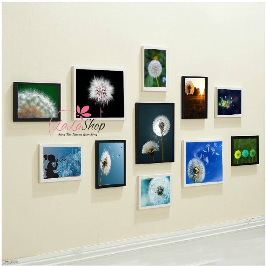 Bộ khung ảnh bồ công anh