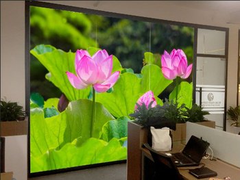 Tranh Dán Tường Đầm Sen Đẹp 5