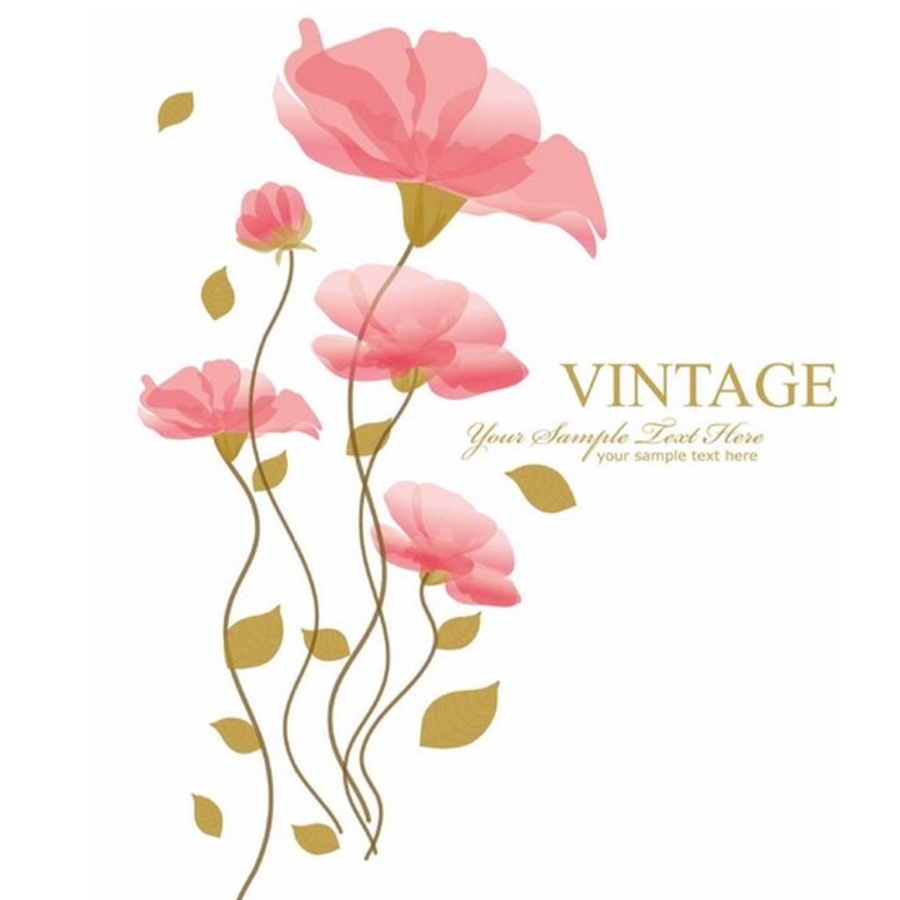 Ảnh sản phẩm - Lala Shop