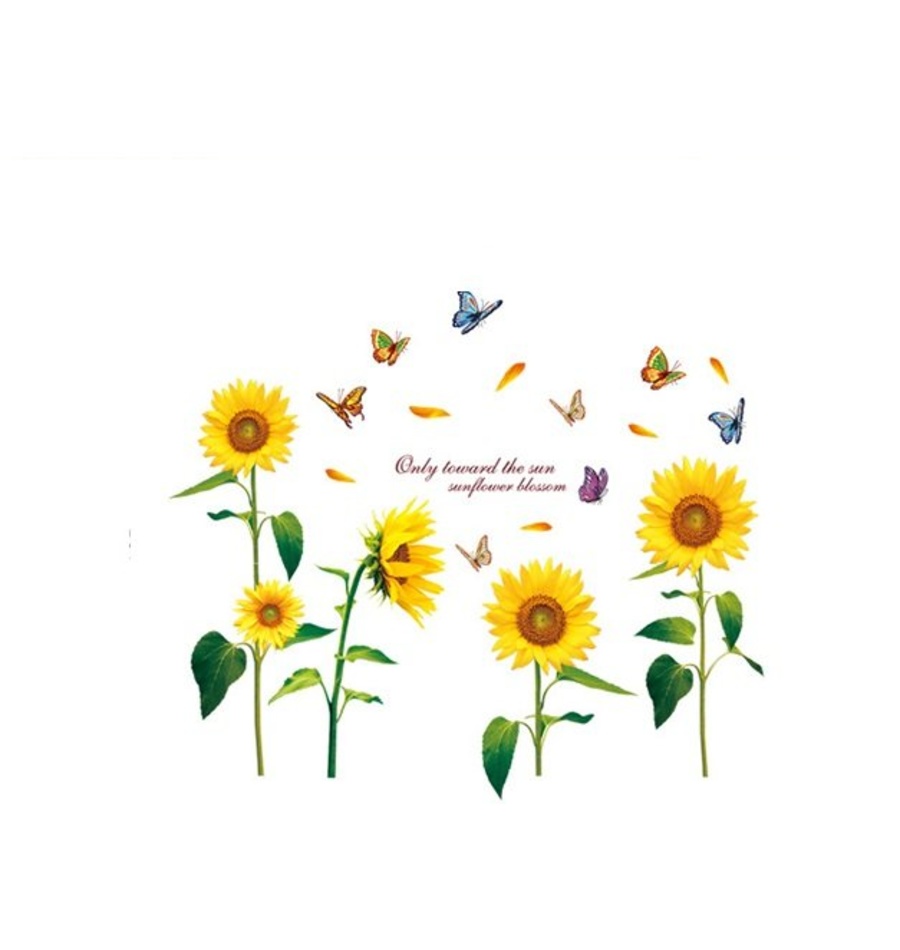 Ảnh sản phẩm - Lala Shop