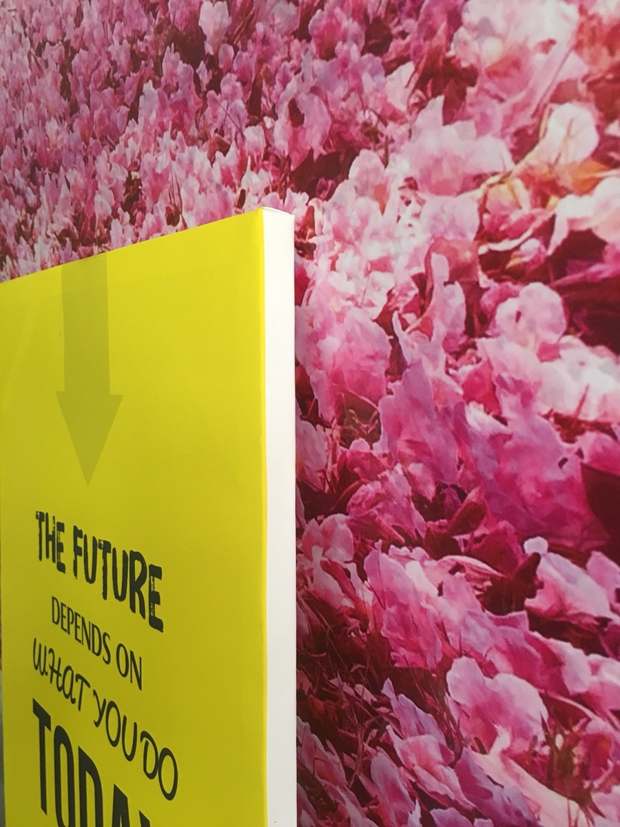 Ảnh sản phẩm - Lala Shop