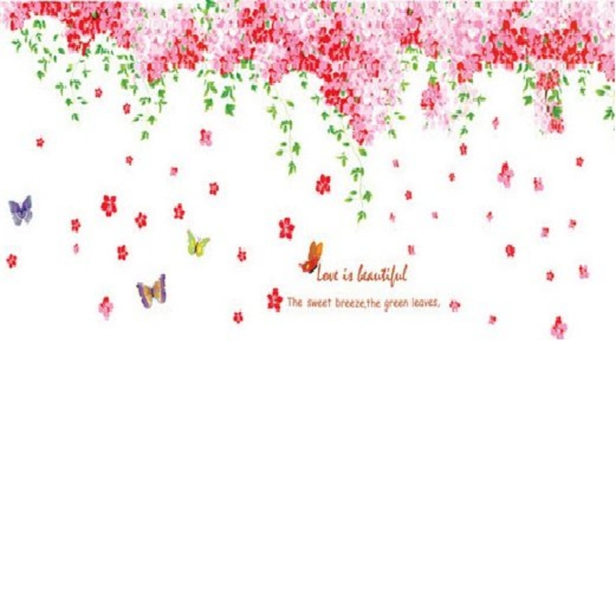 Ảnh sản phẩm - Lala Shop