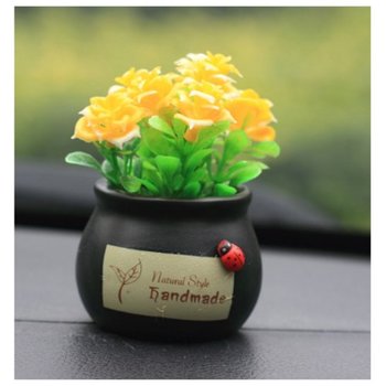 Chậu hoa nhí để bàn