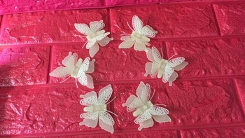 Bướm 3D dạ quang 6 con