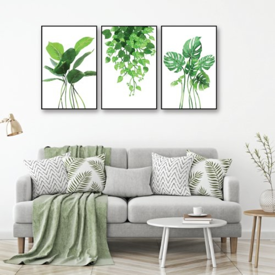 Ảnh sản phẩm - Lala Shop