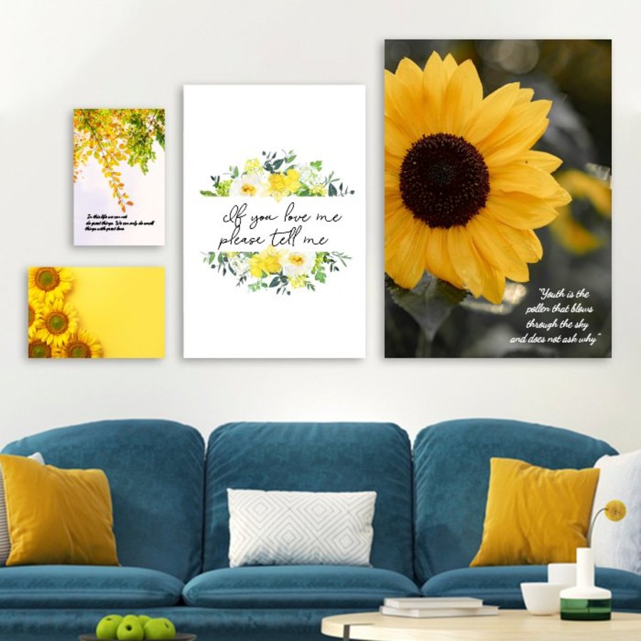 Ảnh sản phẩm - Lala Shop