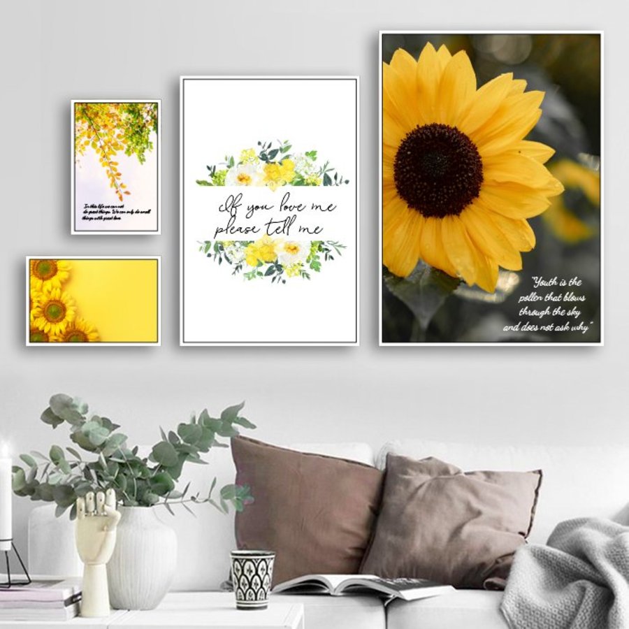 Ảnh sản phẩm - Lala Shop