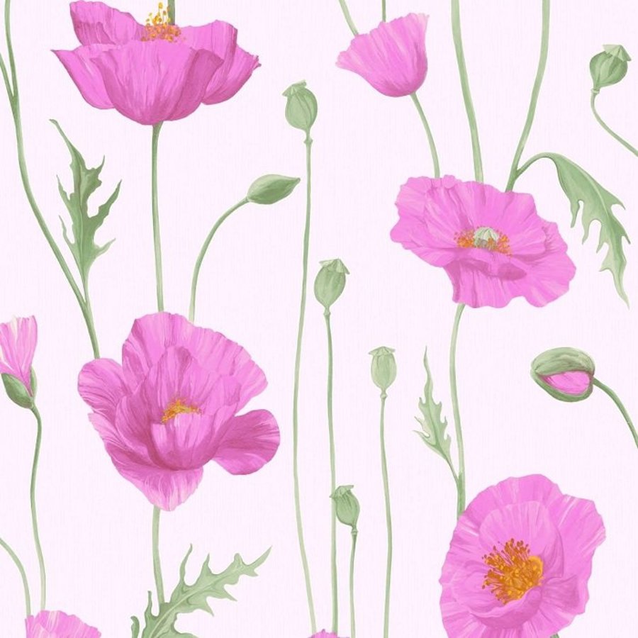 Ảnh sản phẩm - Lala Shop