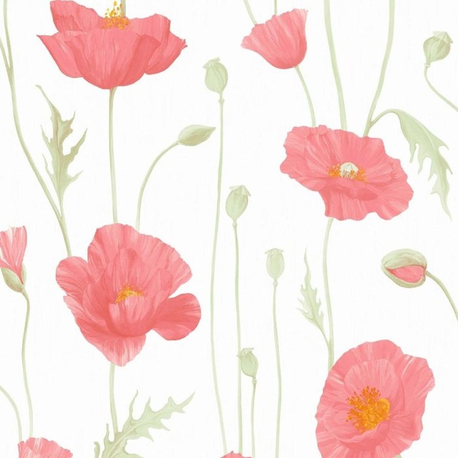 Ảnh sản phẩm - Lala Shop