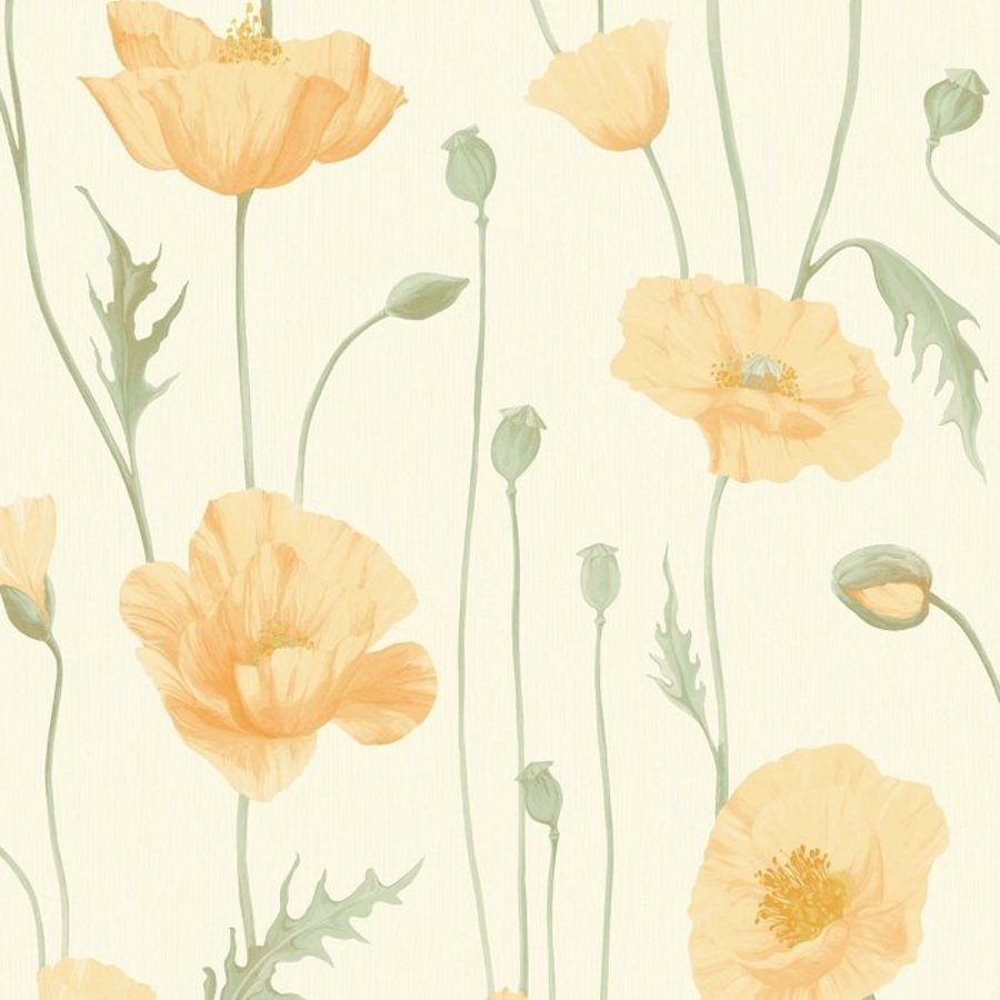 Ảnh sản phẩm - Lala Shop