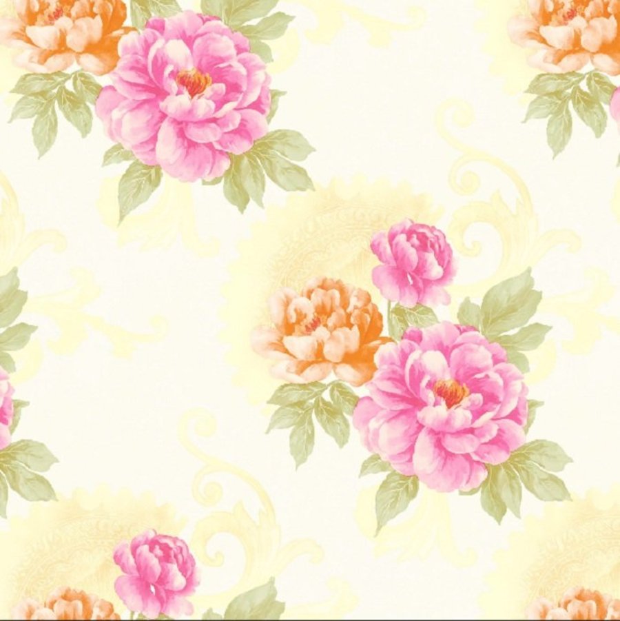 Ảnh sản phẩm - Lala Shop