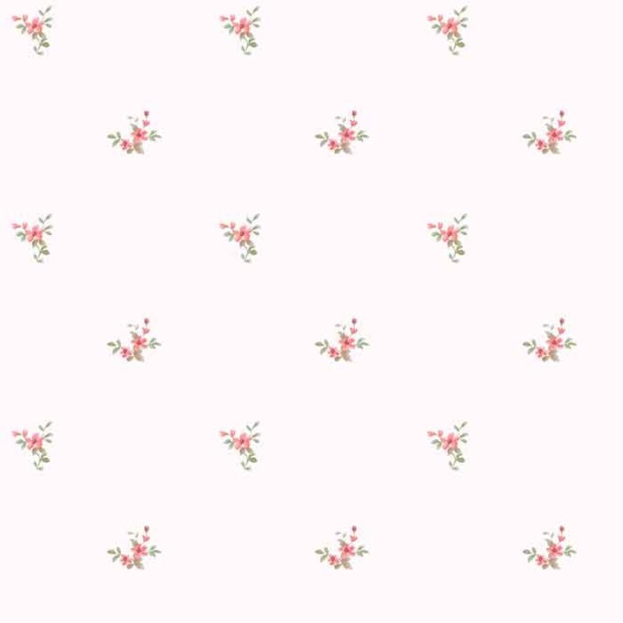 Ảnh sản phẩm - Lala Shop