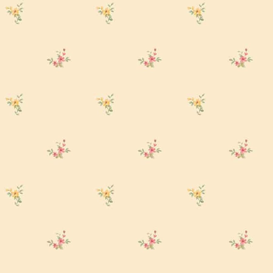 Ảnh sản phẩm - Lala Shop