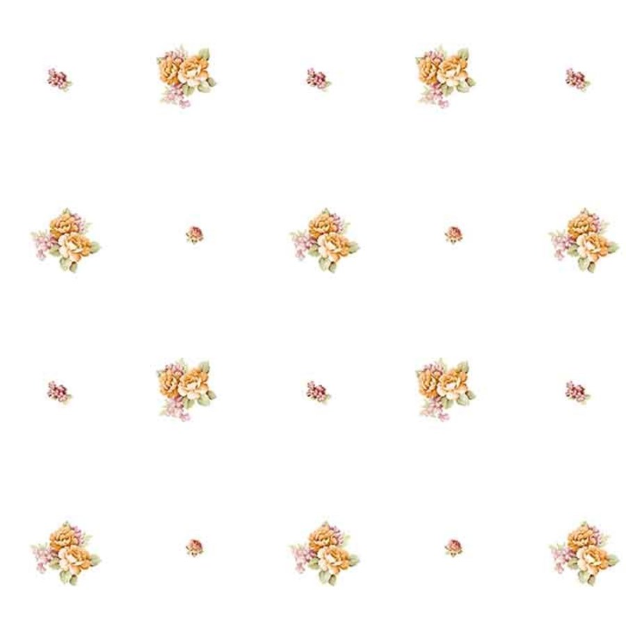 Ảnh sản phẩm - Lala Shop