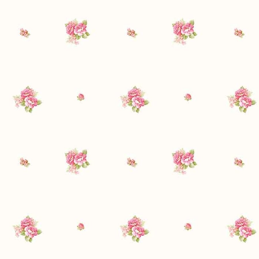 Ảnh sản phẩm - Lala Shop