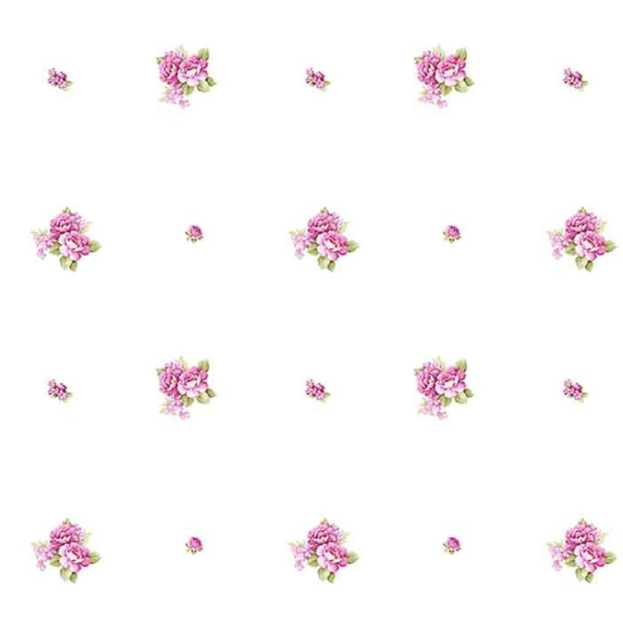 Ảnh sản phẩm - Lala Shop