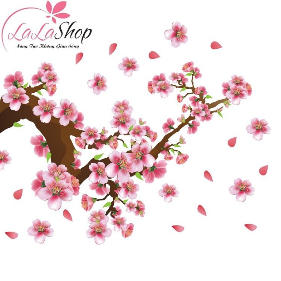 Ảnh sản phẩm - Lala Shop