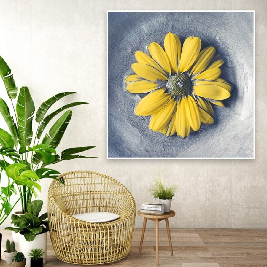 Ảnh sản phẩm - Lala Shop