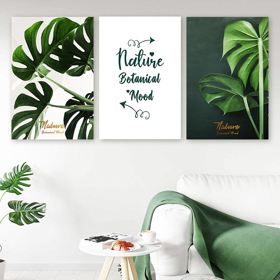 Ảnh sản phẩm - Lala Shop