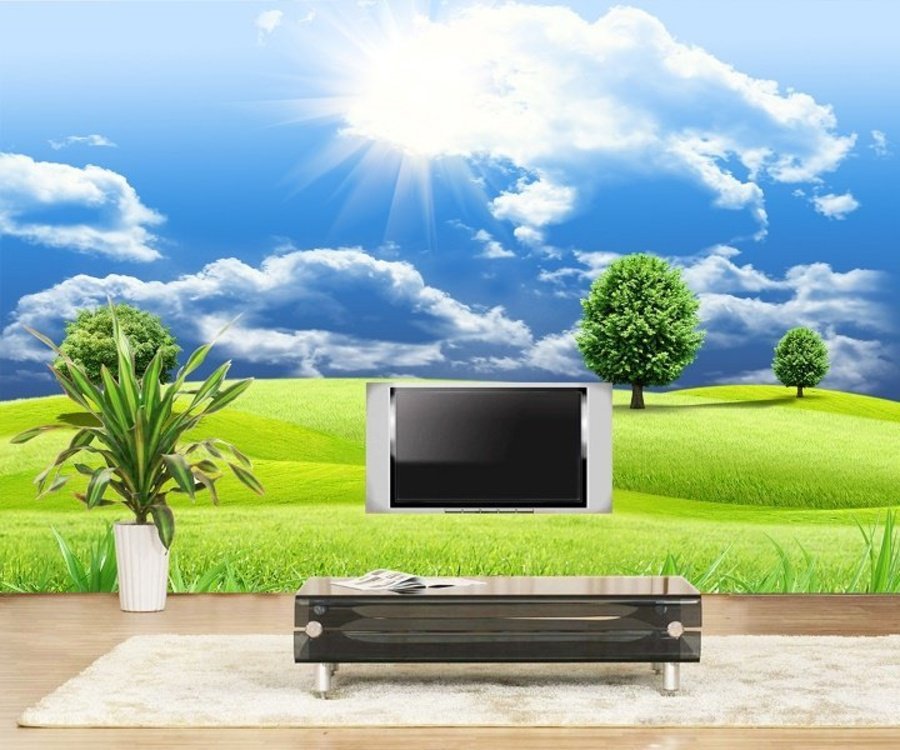 Tranh Dán Tường Thảo Nguyên Rộng Lớn Dưới Ánh Nắng