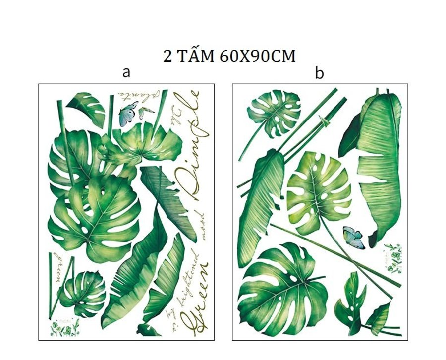 Ảnh sản phẩm - Lala Shop