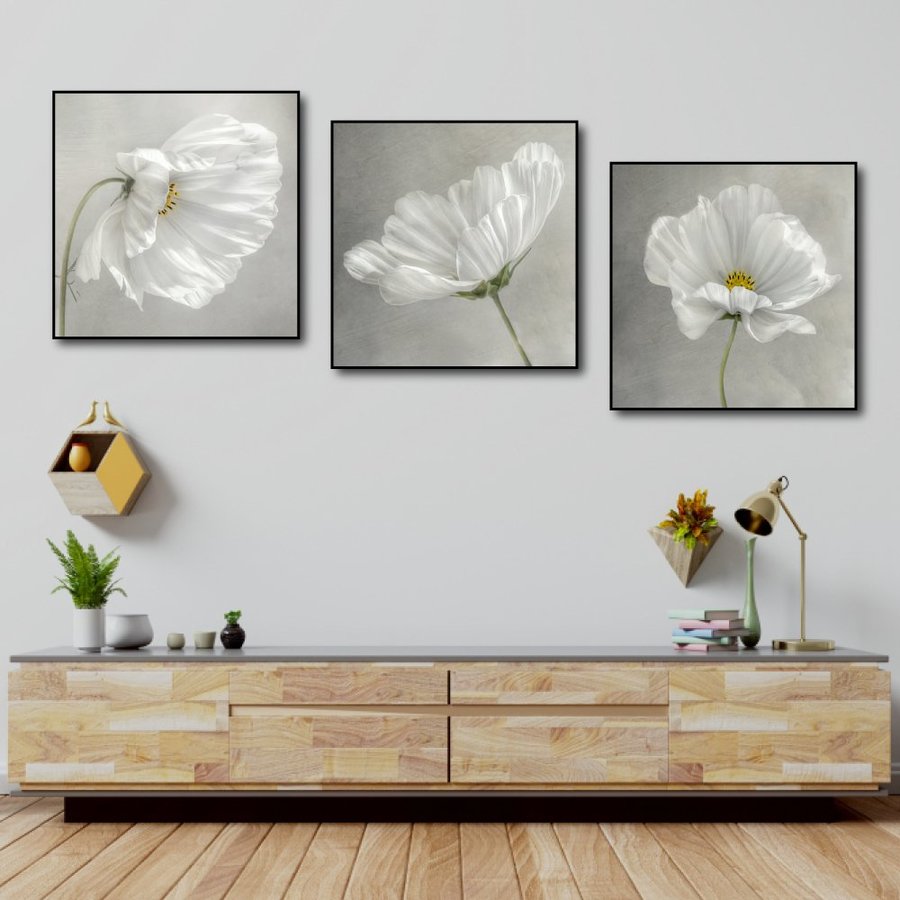 Ảnh sản phẩm - Lala Shop