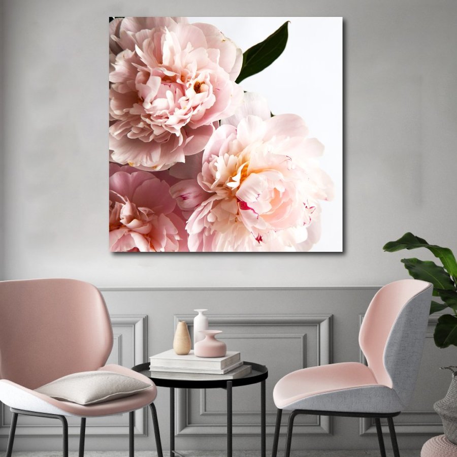 Ảnh sản phẩm - Lala Shop