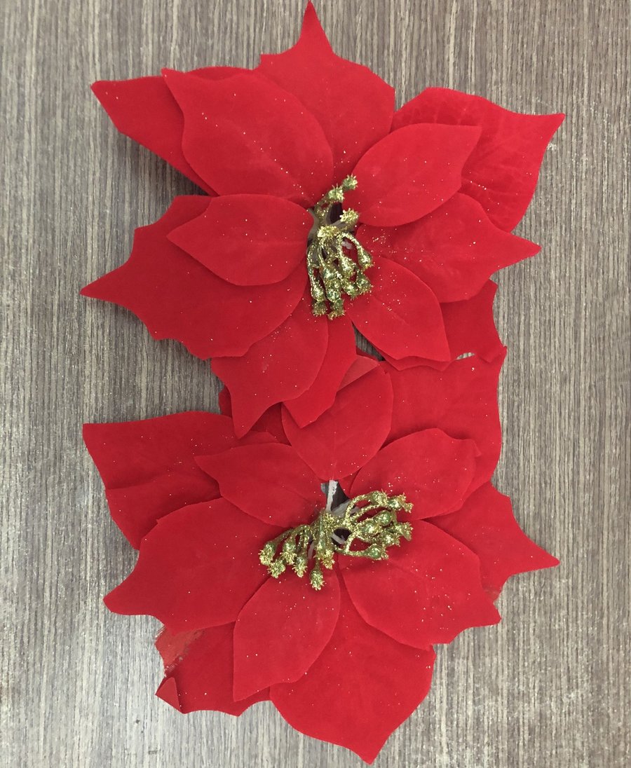 Đồ trang trí noel hoa trạng nguyên nhung