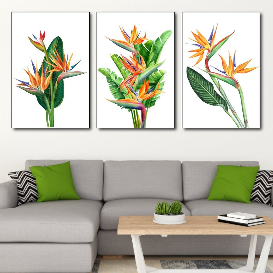 Ảnh sản phẩm - Lala Shop