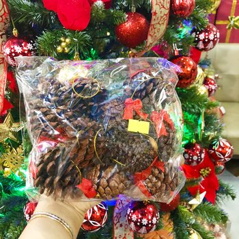 Đồ trang trí noel 10 trái thông nâu