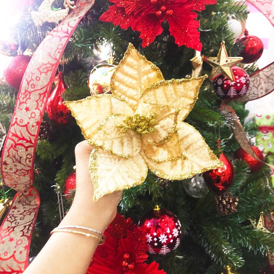 Ảnh sản phẩm - Lala Shop